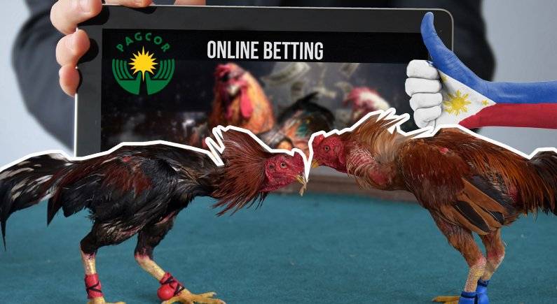 Tips in Winning Online Sabong Cards in APO Casino